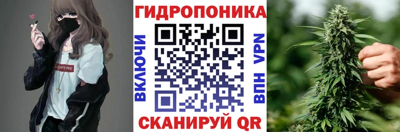 Купить закладки  Протвино  Шишки марихуана AK-47 